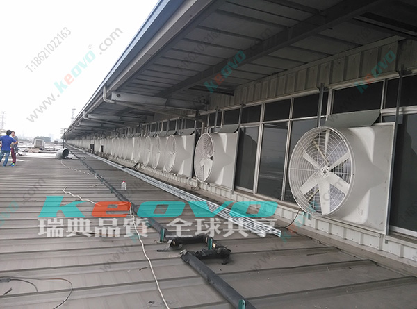 1700621868832327.jpg 6.jpg